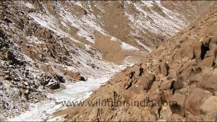 1599.Ladakh the land of Passes.mov