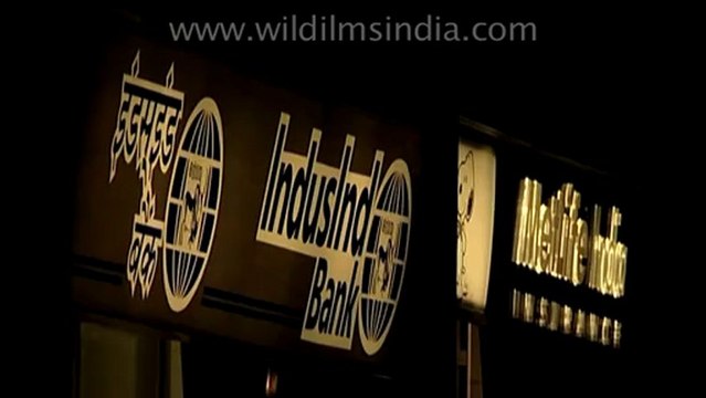 1629.Night shot of Banking & Insurance companies in Gurgaon.mov