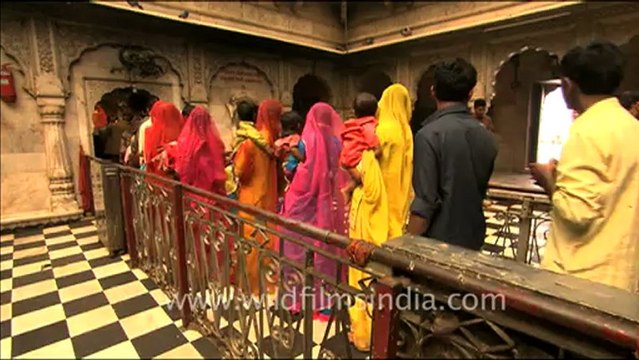 1631.Karni Mata Temple Deshnok, Rajasthan.mov