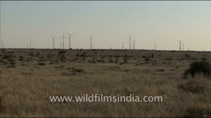 1644.Windmills in Rajasthan.mov