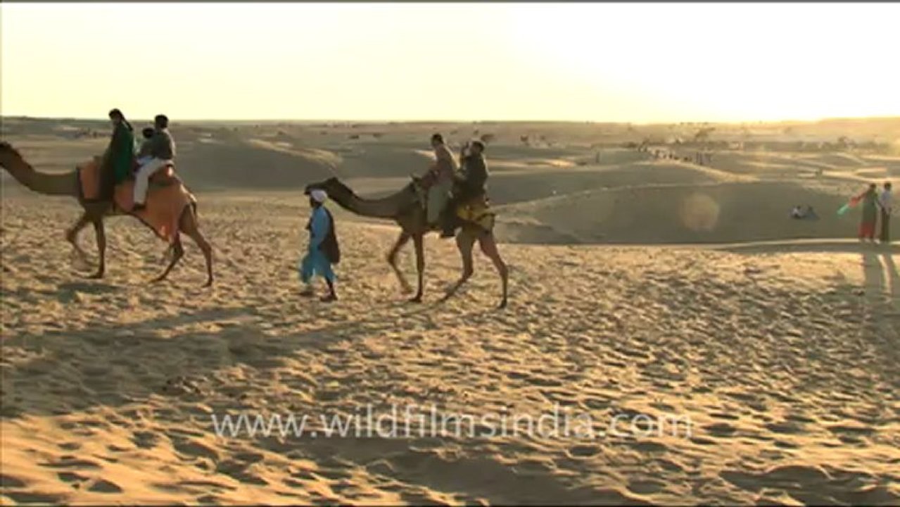 1663.Sam Sand Dunes - Camel Safari.mov