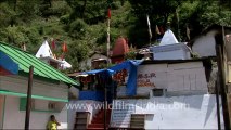 1717.Hot water spring in a Temple in Gangnani.mov