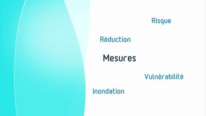 Des acteurs et un territoire mobilisés face au risque inondation : des entreprises engagées (2012)