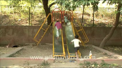 1859.Sanjay Park, Laxmi Bai Nagar, New Delhi.mov