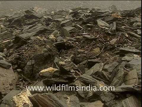 1868.Skulls and bones at Roopkund lake!.mov