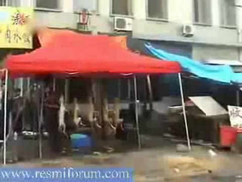 Barbar kimmiş öğrenin