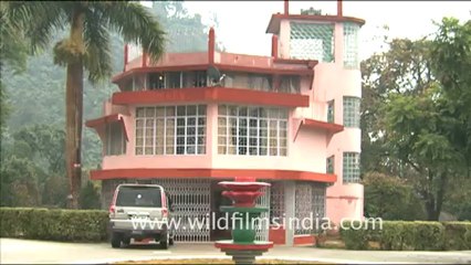 1934.Jawaharlal Nehru Van Udyan, Arunachal Pradesh.mov