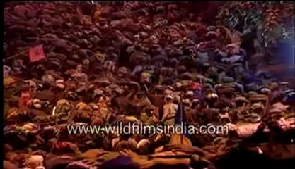 195. pilgrimage-MPEG-4 800Kbps.mp4