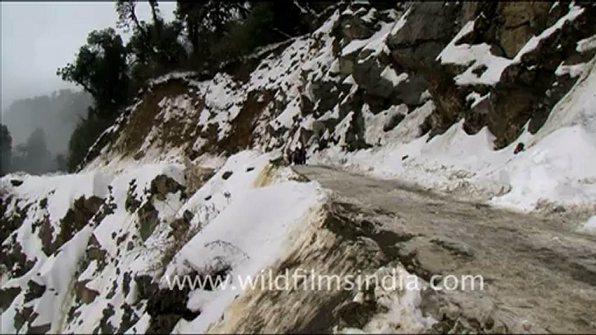  in Lower Dibang valley of Arunachal  - video  Dailymotion