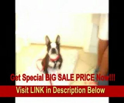 Olympus BCM1 Battery Quick Charger for C7070, C8080, E1, E300 & E500 Digital Cameras