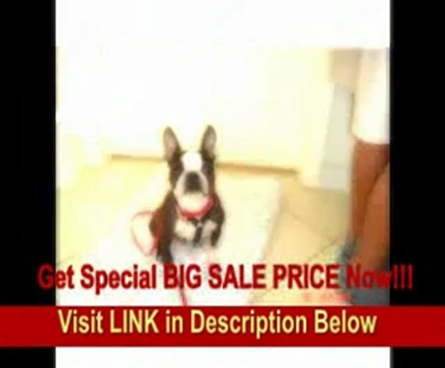 Olympus BCM1 Battery Quick Charger for C7070, C8080, E1, E300 & E500 Digital Cameras