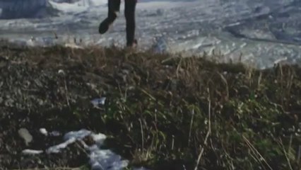 'Bittersweet'   Ellie Goulding