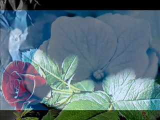 Sadece Sen Bilirsin -  Aras Zeybek