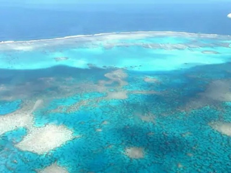 J'ai peur de t'aimer