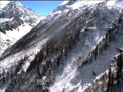 2003.Malana from ahigh. Aerial of snowy mountains of Himachal Pradesh.mov