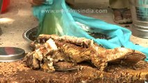 2094.Collecting honey-The traditional way.mov