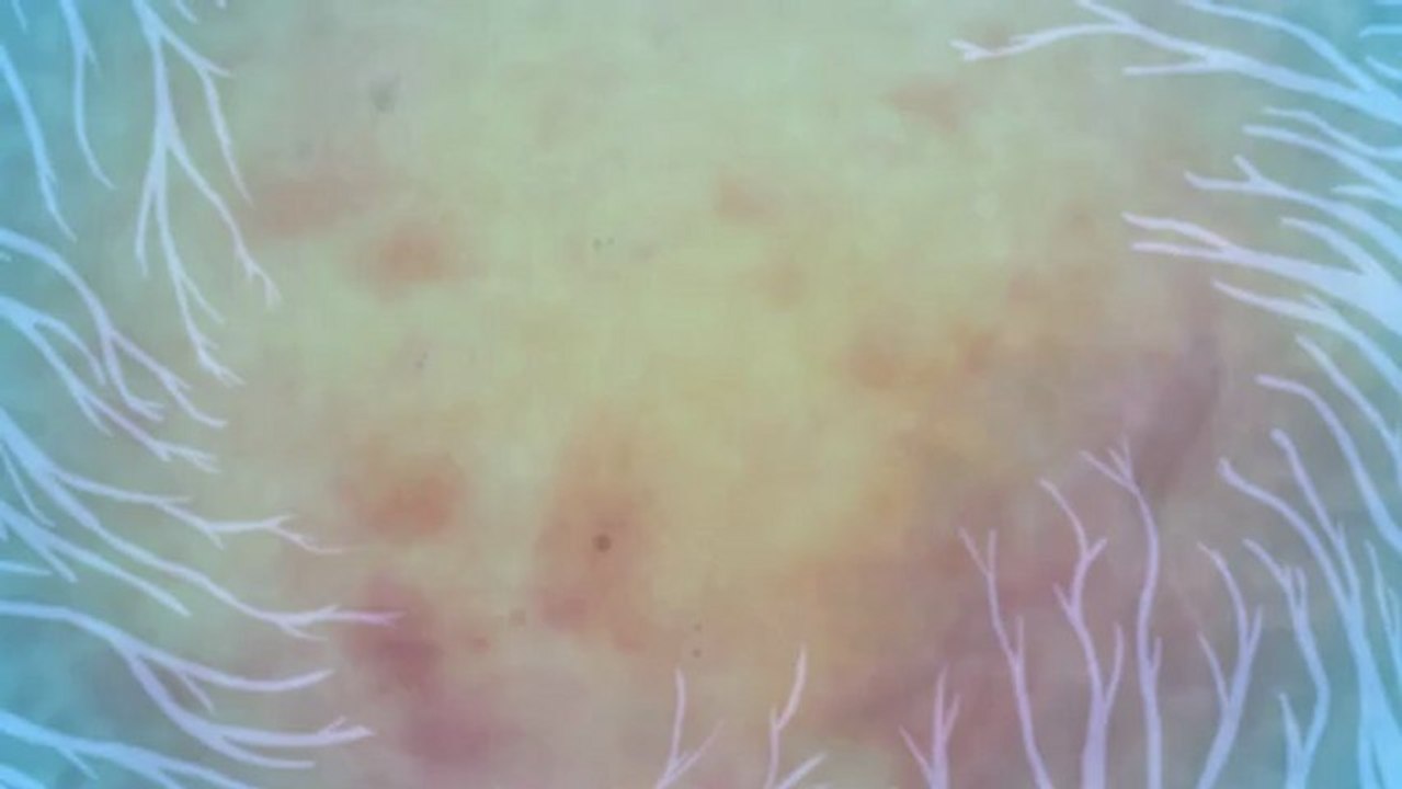 "Goutte a Goutte" - Gobelins 2012