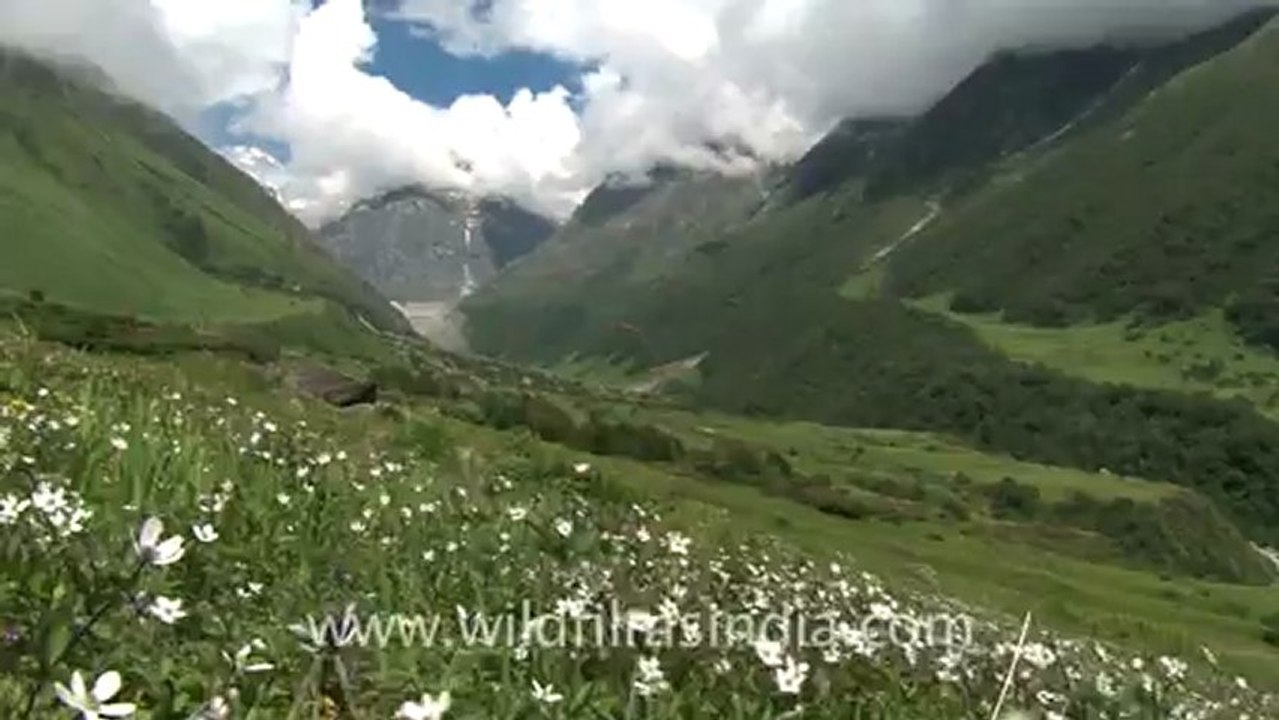 2196.Cloudy landscape in valley of flowers.mov