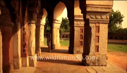 221.Humayun's Tomb in Delhi.mp4