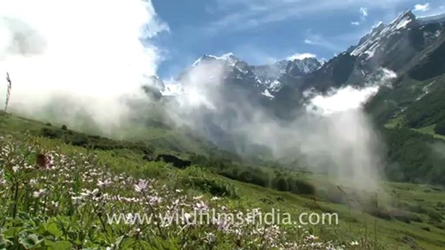 2226.Rataban with clouds, Valley of Flowers.mov