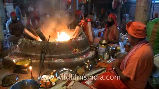 2301.Sadhus chanting during havan at kamakhya temple.mov