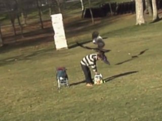 La vidéo incroyable d'un aigle qui essaie d'enlever un bébé !