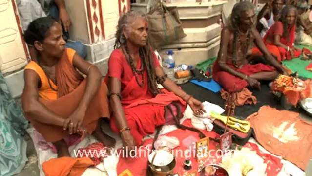 2321.Sadhvi at Kamakhya temple.mov