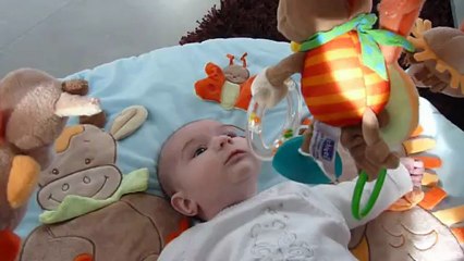 mes conversations avec mon ami le singe