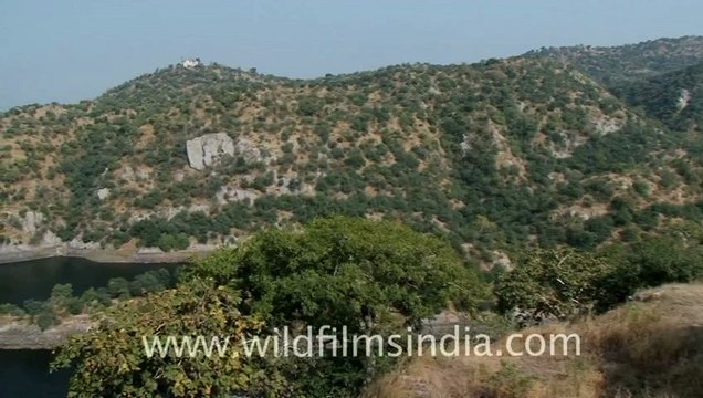 2457.Jaisamand lake, Udaipur.mov