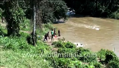 Children in Congo playing in water