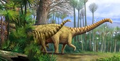 Dinozor Gezegeni: 6.Bölüm | Uzun Süre Hayatta Kalanlar