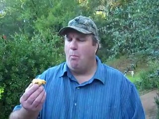 With The Bayou Fryer You Can Get One Heck Of A Fish Fry