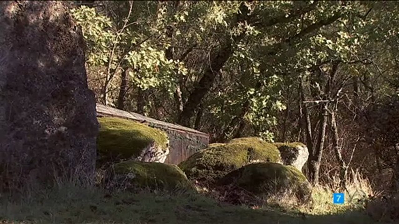 MARTIN MARIA DIOS ESTA EN TODAS PARTES ESDPV 19-12-2012