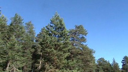 Tatar Küyü 2012 Ekim Ayı Yayla Görüntüleri