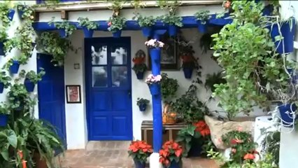 Navidad en los patios de Córdoba