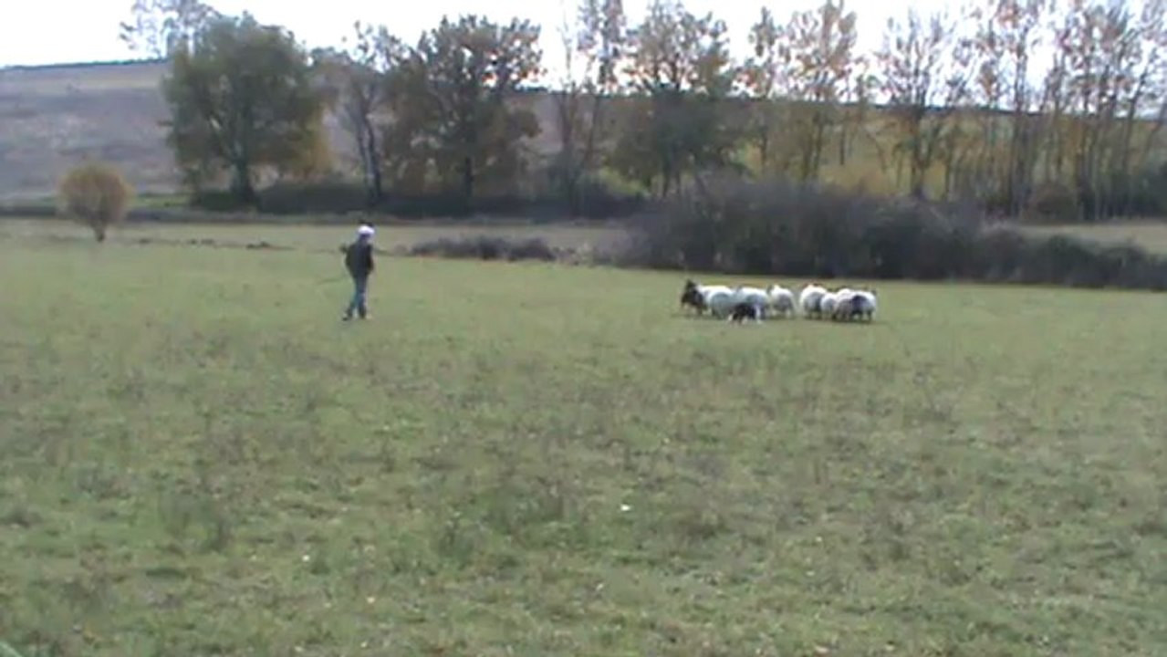 Caym et Pierre, Drive, Shed , Flank