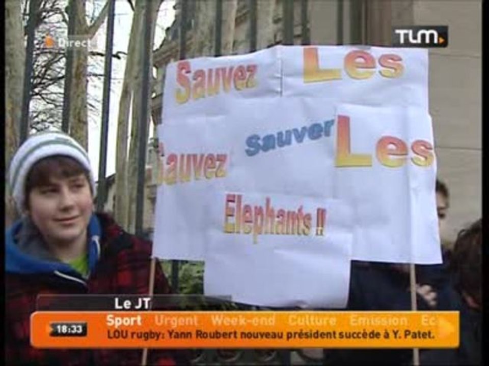 Rassemblement pour les éléphants