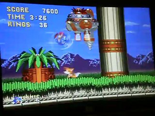 marble garden 2 concours