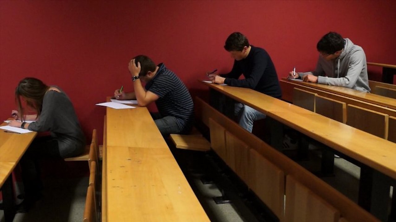 Bref, j'ai passé un examen... (Parodie) BREF-LIKE # 2