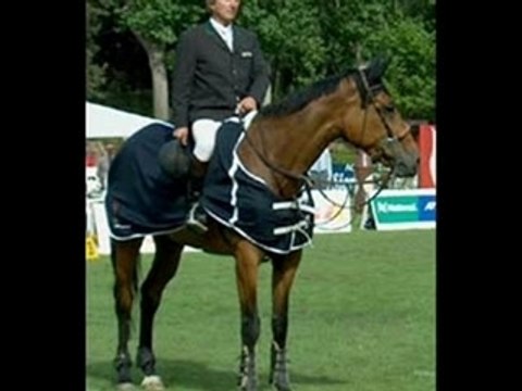 Quelques Chevaux Connus