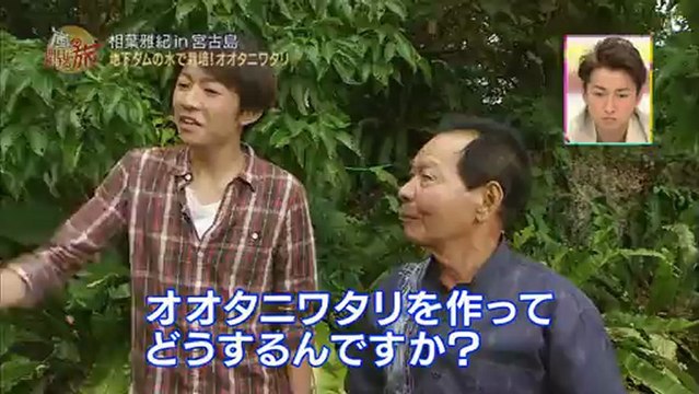 The bridge constructed by the end of tomorrow エコアイランド 20121217