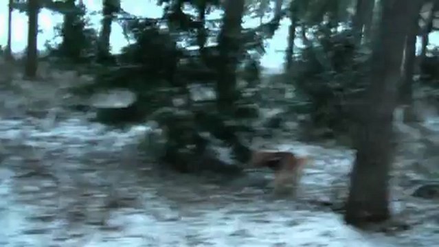 unterwegs mit dem Radel