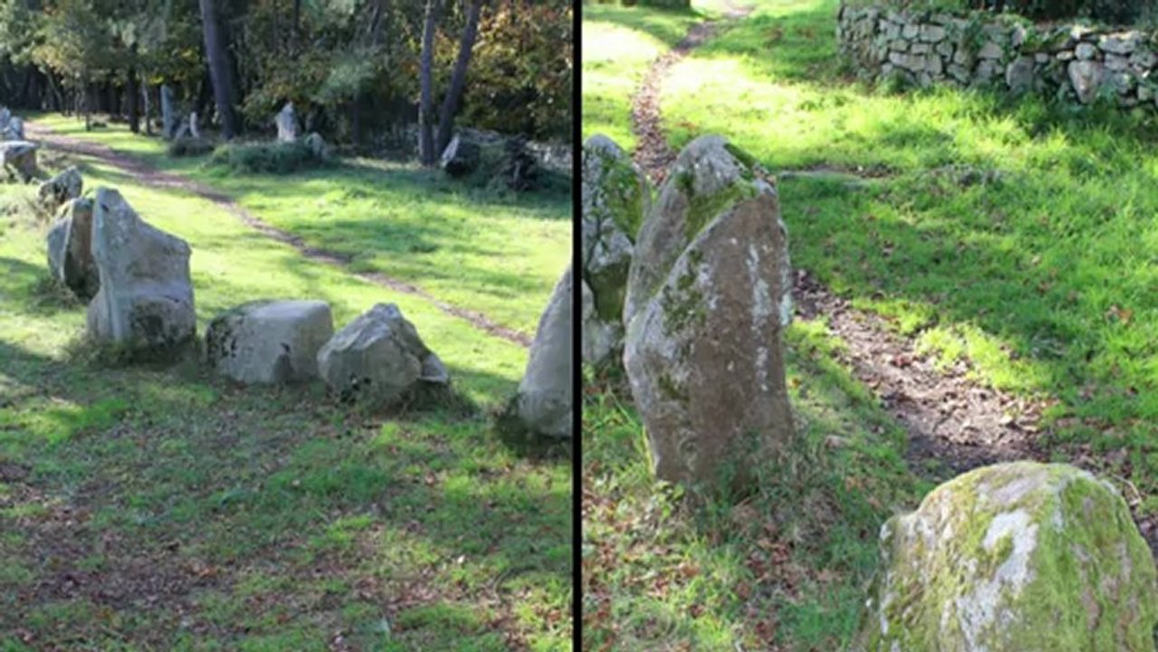 Alignements de Carnac Le petit Menec