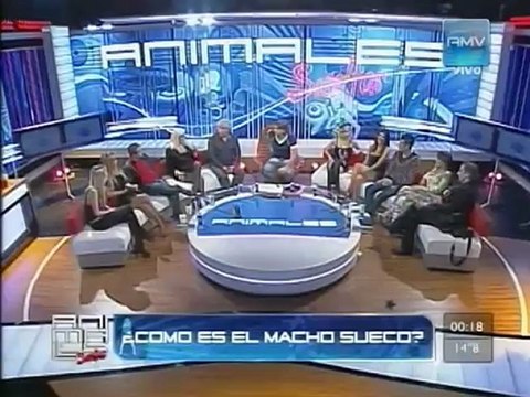 larsson alexandra ANIMALES SUELTOS