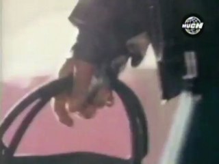 Sumo - Estallando desde el oceano (videoclip 1989)