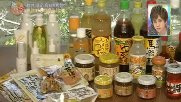 The bridge constructed by the end of tomorrow 森の未来を訪ね 20121219