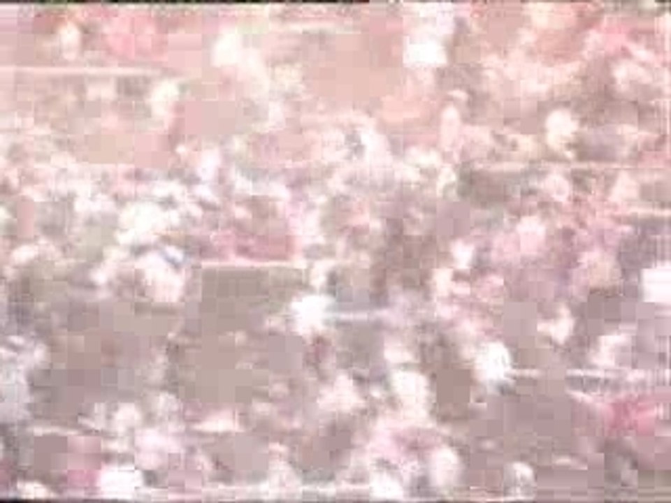 juve-liverpool