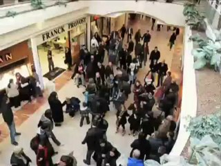 freeze valence  2009, version 2012.