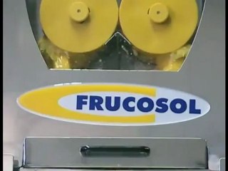 Commercial orange juicer Australia by Orangejuicer