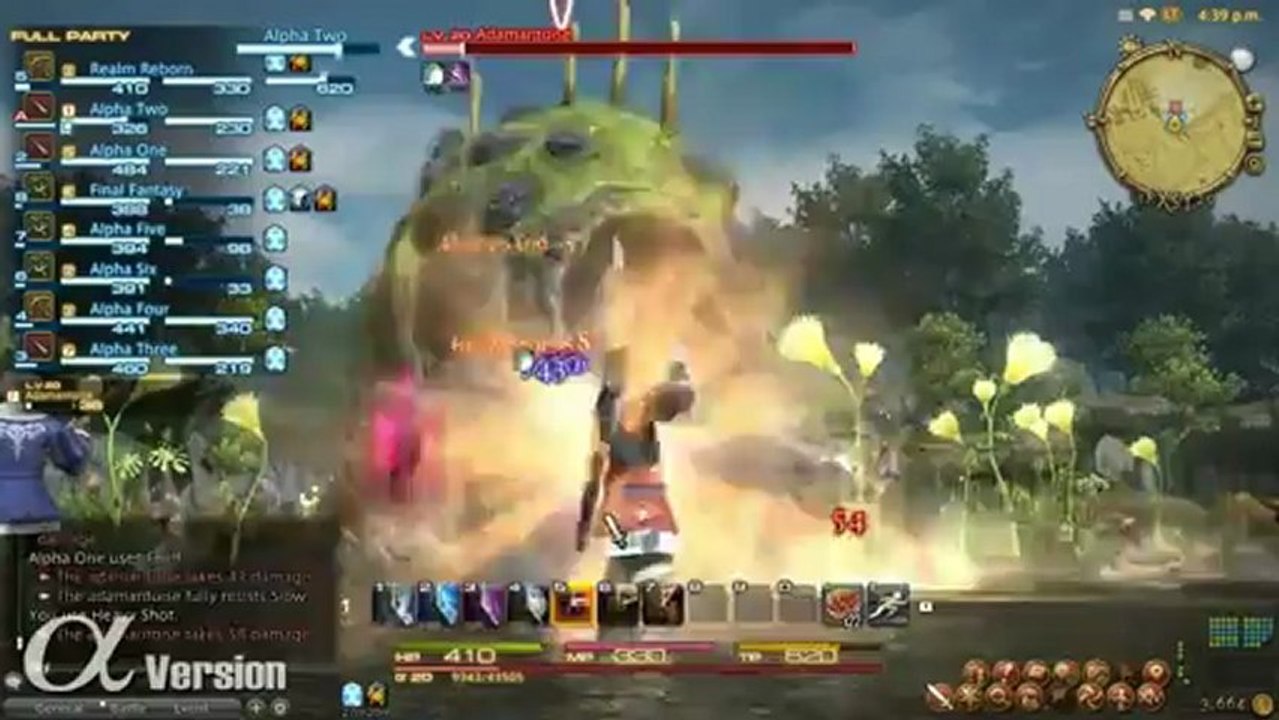 Final Fantasy XIV : A Realm Reborn (PS3) - Levquests & Party Combat Footage